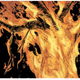 Image for article titled In Image's Redlands, Witches Are Feared Not Just for Their Magic, But Because They're Women